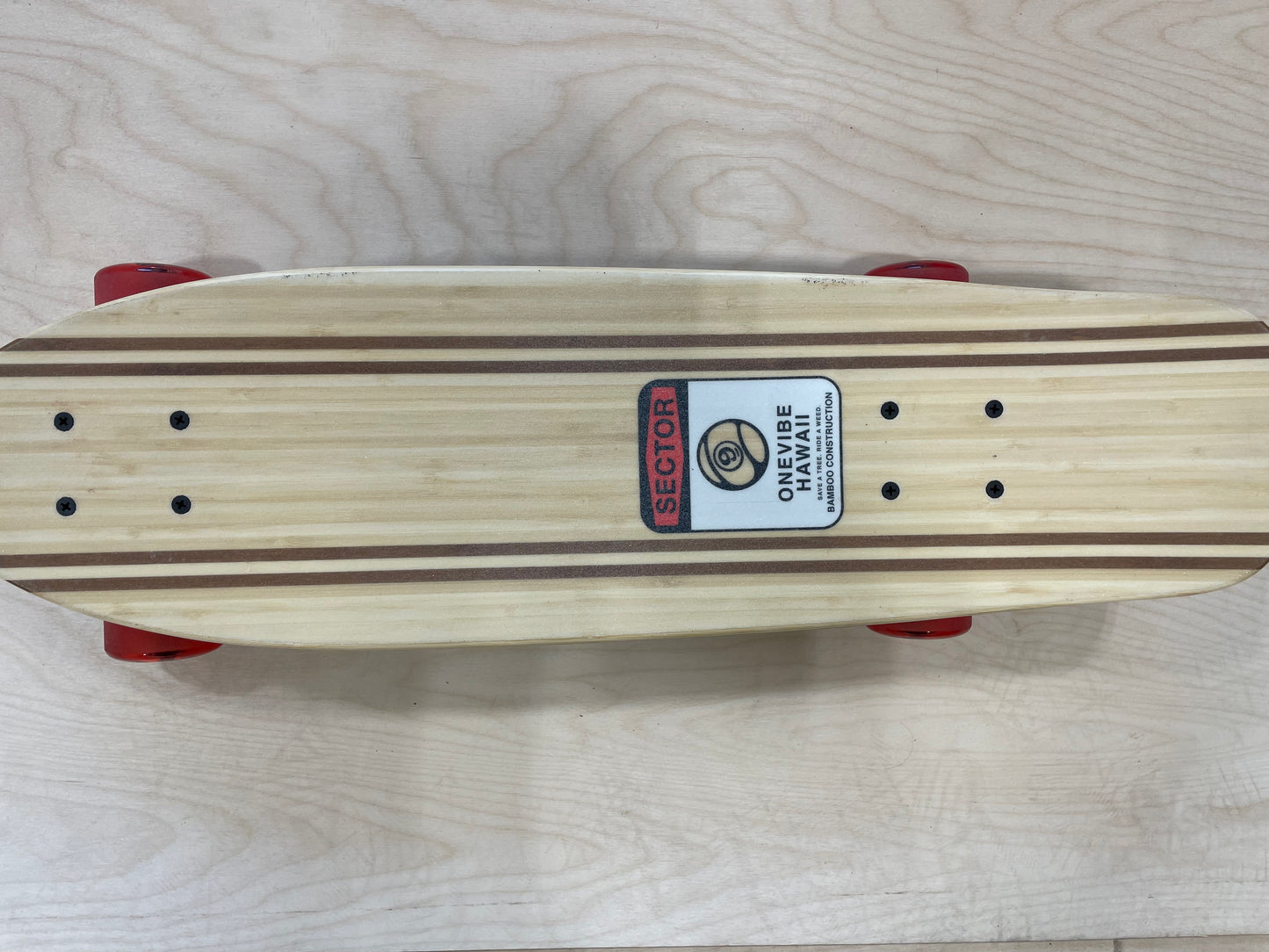Sector 9 Bambino Shorebreak