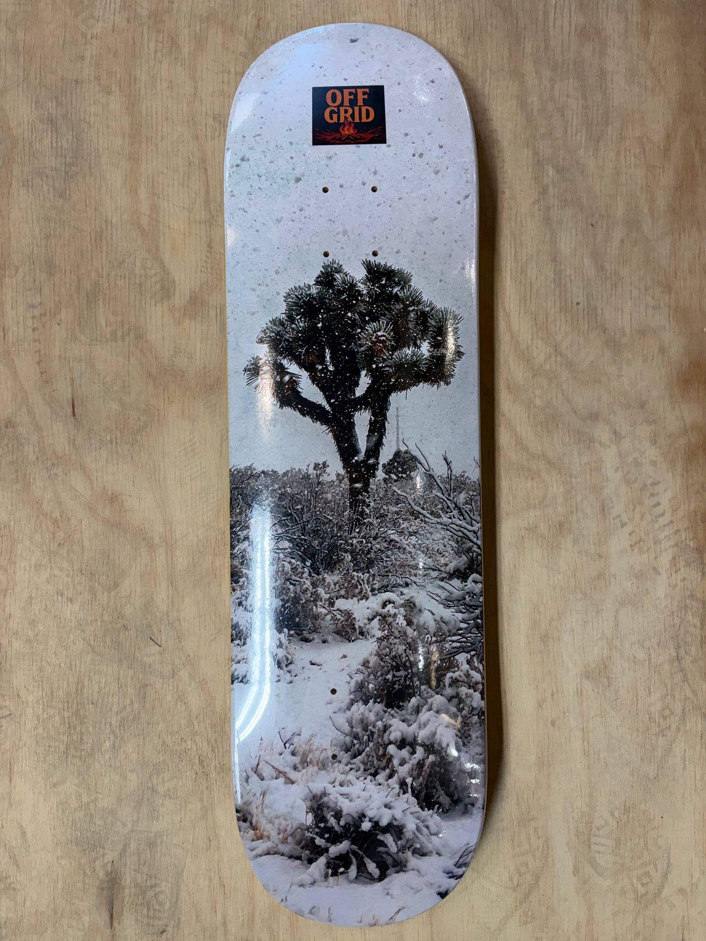 Off Grid 8.5 Joshua Tree