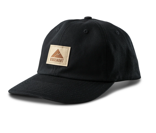Dad Hat - Back